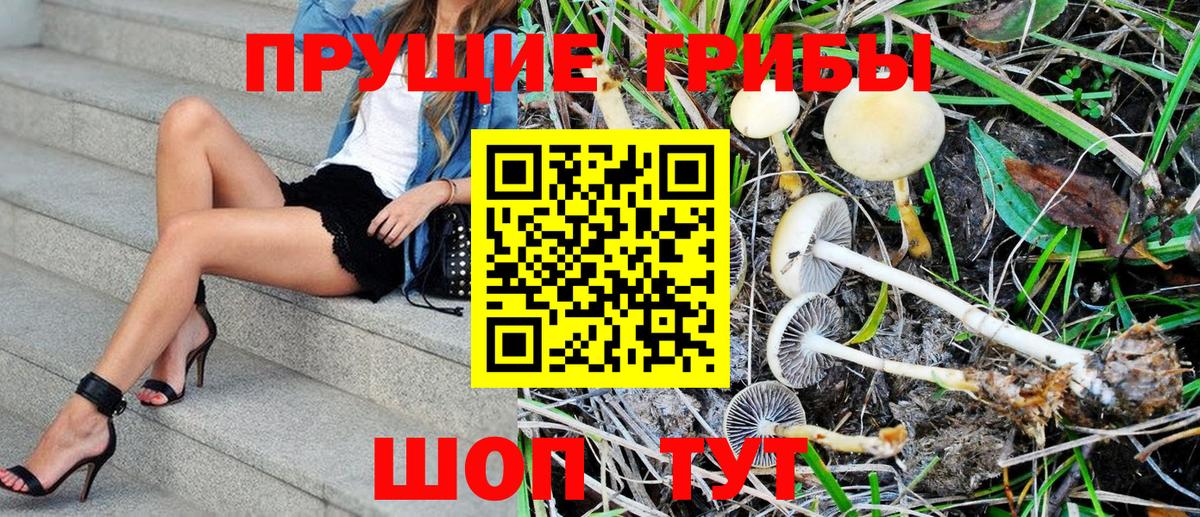 Псилоцибиновые грибы Magic Shrooms  Галлюциногенные грибы ЛСД  Нижневартовск  Вход с VPN 